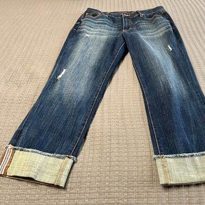 NWOT Jag Jeans - Lightly distressed - Size 12/31
